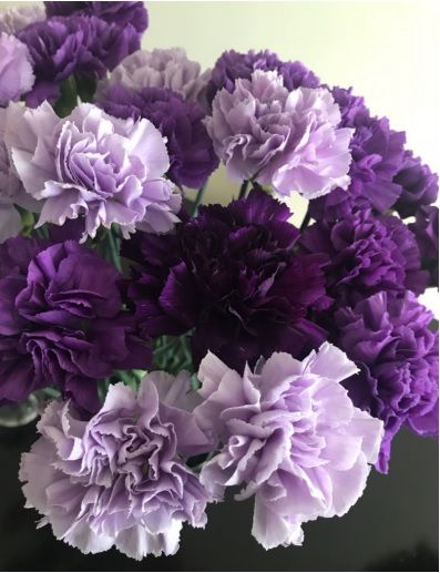 Purple Carnation Bouquet, Purple Flower Arrangements, Purple Carnations, Carnation Bouquet, Different Types Of Flowers, Boquette Flowers, Purple Wedding Flowers, Nothing But Flowers, Carnation Flower