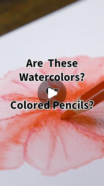 Blick Art Materials on Instagram: "💦 ✏️ Watercolor Pencils… are they watercolors or are they colored pencils? 🤔 Turns out they’re a little bit of both, creating their own expressive medium! See them in action with the Caran d’Ache Supracolor Soft Aquarelle Pencil Set.   These highly pigmented, water-soluble pencils lay down broad strokes, fine lines, and gradients that transform into lush watercolor washes with a wet brush 🖌️ Layer more pigment on wet and dry areas to achieve a wide range of effects. The possibilities are endless! ✨ Shop at the link in our bio!  _______________ #blickartmaterials #watercolorpencils #watercolors #coloredpencils  #ArtSupplies #CaranDAche @carandache #createwithblick" Pencil Watercolor Drawing, How To Use Watercolor Pencils, Watercolor And Colored Pencil Art, Watercolor Pencils Ideas, Wet On Wet Watercolor, Using Watercolor Pencils, Watercolor Pencils Techniques, Water Color Pencil, Water Brush