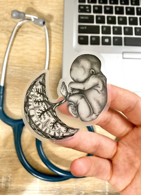 This is a waterproof, clear vinyl sticker of an original graphite drawing of human anatomy featuring the fetus and placenta. This anatomy sticker is perfect for decorating water bottles, notebooks, laptops, and more! It makes a unique gift for the OBGYN, midwife, labor and delivery nurse, NICU nurse, prenatal chiropractor, doula, medical student, or anatomy lover in your life! QUALITY: All stickers are made of the highest quality vinyl with a smooth, matte finish. All stickers are waterproof and dishwasher-safe, scratch-resistant, and fade-resistant.  SIZE: This sticker is  2.4" x  3" in size. FOR BEST USE: This sticker works best on flat or slightly curved, smooth surfaces. Peel the backing paper off the sticker, apply it to a clean, dry surface, and press firmly to secure the adhesive. P Midwifery Stickers, Obgyn Aesthetic, Obstetrician Aesthetic, Midwifery Aesthetic, Nursing School Inspiration, Decorating Water Bottles, Midwifery Student, Delivery Nurse Gifts, Newborn Art