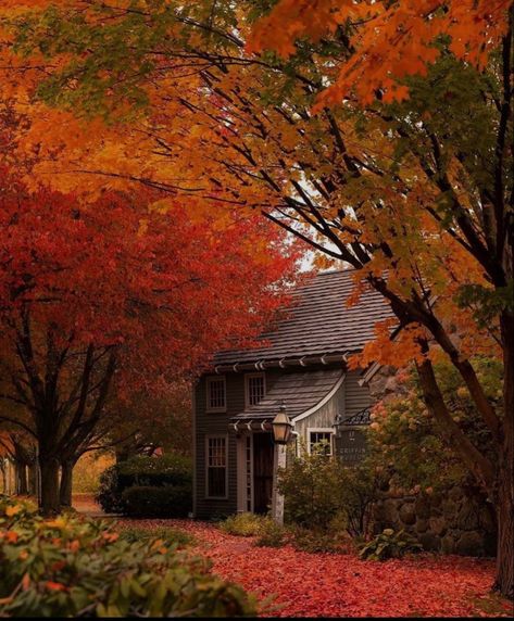 Beautiful house in autumn Autumn House, Dog Model, Autumn Magic, Autumn Scenery, Fall Feels, Autumn Beauty, Autumn Vibes, Fall Pictures, Best Seasons