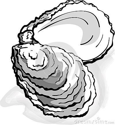 Oyster seafood shell clam  - illustration Clam Illustration, Clam Tattoo, Oyster Drawing, Shellfish Art, Oyster Tattoo, Embroidery Doodles, Shell Drawing, Nature Logo Design, Cool Tattoo Ideas