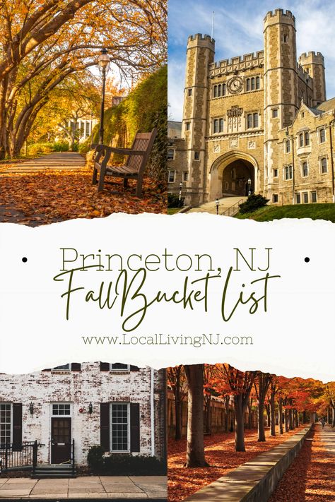 Princeton, NJ Fall Guide: 15 Essential Activities for Autumn Fun Maplewood Nj, Jersey Day, Princeton New Jersey, Princeton Nj, Get Ready For Fall, Fun Places To Go, Fall Hiking, Fall Activities, Ready For Fall