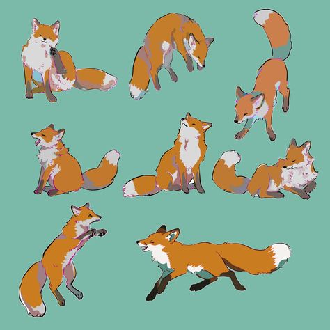 Fox In Forest Illustration, Fox Poses Reference, Fox Front View, Peppers Drawing, Baby Fox Drawing, Types Of Foxes, Fox Illustration Drawing, Fox Reference, Fox Running