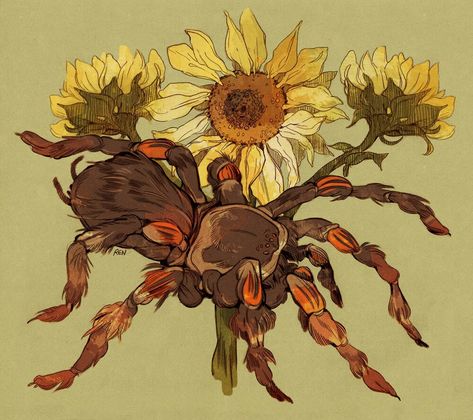 Tarantula Drawings, Cute Tarantula Drawing, Spider Art Cute, Tarantula Painting, Cute Spider Art, Tarantula Illustration, Cute Spider Drawing, Mexican Red Knee Tarantula, Spiders Art