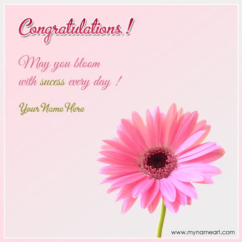 Congratulations On Success With Quotes And Name Congratulations On Success, Congratulations Wishes On Success, Congratulations Quotes Achievement, Graduation Congratulations Quotes, Congrats Wishes, Your Name Quotes, Message Pink, Congrats Quotes, Congratulations Images