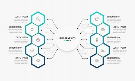 Premium Vector | Hexagon label with color line linked infographics. Hexagon Graphic Design Layout, Hexagon Infographic Design, Hexagon Graphic Design, Hexagon Infographic, Business Flow Chart, Flow Chart Design, Hexagon Vector, Dashboard Examples, Infographic Layout