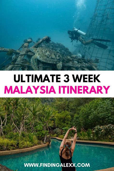 Discover the ultimate 3-week Malaysia itinerary that takes you through vibrant cities, lush rainforests, and stunning beaches. Experience the rich culture, delicious cuisine, and breathtaking landscapes of Malaysia with detailed travel tips and must-see attractions. Perfect for travelers seeking a diverse adventure in Southeast Asia. Malaysia Itinerary, Malaysia Travel Guide, Malaysia Truly Asia, Malaysia Travel, Asia Travel, Travel Itinerary, Southeast Asia, 3 Weeks, Lush