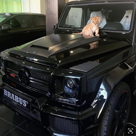 Black Mercedes, Black Mercedes Benz, Mercedes G Wagon, Lux Cars, Money Goals, Rich Kids, G Wagon, My Dream Car, Sports Cars Luxury