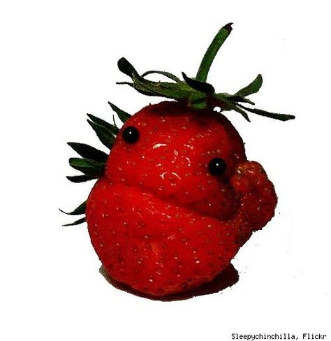 strawberry smiley- keep your day going! Spaghetti Monster, Flying Spaghetti Monster, Strange Places, Face Pictures, Leftovers Recipes, Strawberry Fields, Smiley Faces, Tough Day, When I Grow Up