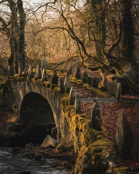 ✸This Old Stomping Ground✸ Fairy Bridge, Hans Holbein The Younger, Fairy Glen, Archangel Gabriel, Nature Reserve, Archaeology, Scotland, Fairy Tales, Around The Worlds