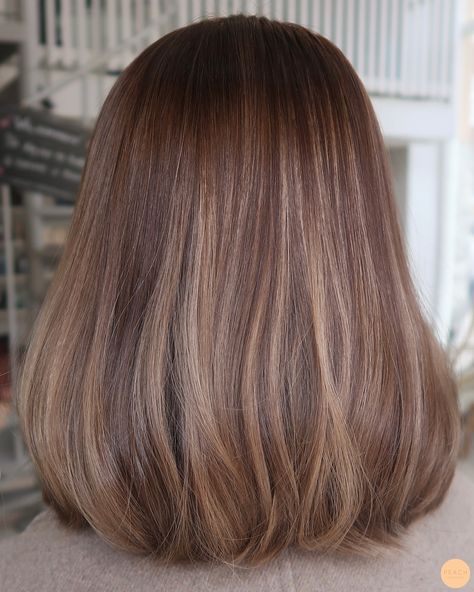 Almond Honey Hair, Brunette Hair With Highlights Short, Cascade Haircut, Hairstyles With Highlights, Medium Length Brown Hair, Highlights On Brown Hair, Ashy Hair, Strawberry Blonde Hair, Brown Blonde Hair