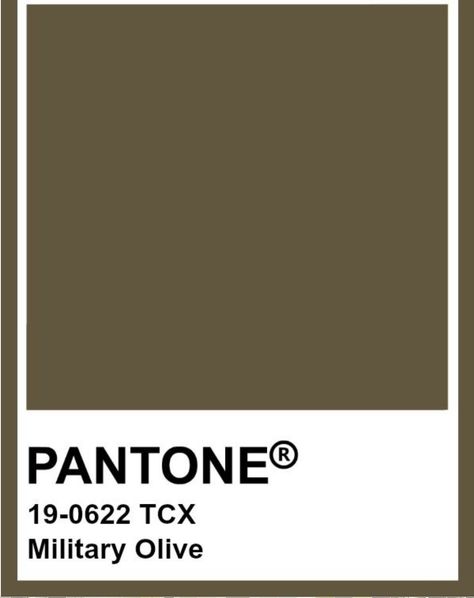 Green Pantone, Military Color, Vintage Military, Pantone Color, Army Green, Green Colors, Color Palette, Lost, Collage