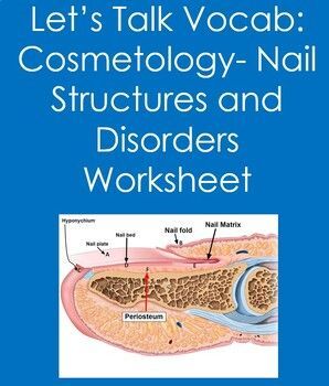 Nail Infection Cosmetology Worksheets, Nail Structure, Nail Disorders, Hero Quotes, Cosmetology Student, Ap Biology, School Coloring Pages, Bulletin Board Sets, Sight Word Games