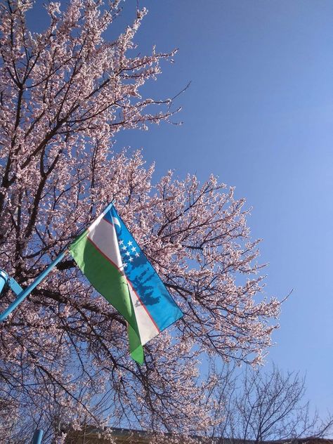 Spring coming to Uzbekistan Spring Coming, Flag