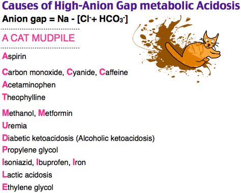 causes of high-anion gap metabolic acidosis - ER - renal - pharm Medical Pneumonics, Nurse Advice, Nursing Facts, Renal Physiology, Anion Gap, Biochemistry Notes, General Medicine, Electrolyte Balance, Med Lab