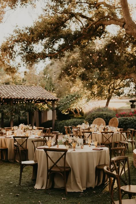 Rustic Wedding Decorations, Dream Wedding Venues, Outdoor Wedding Reception, Future Wedding Plans, Wedding Mood Board, Forest Wedding, Wedding Vibes, Wedding Mood, Ranch Wedding