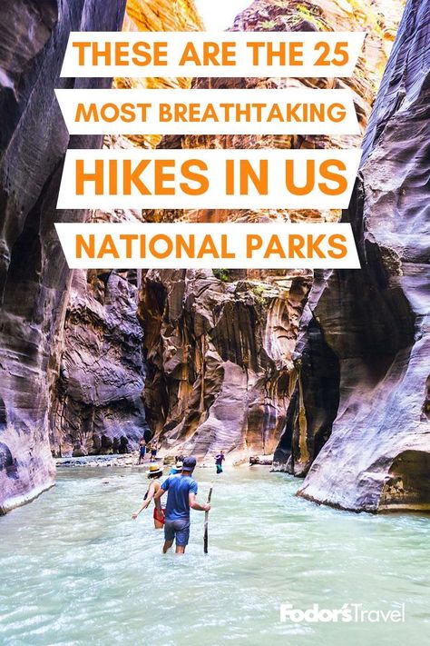 the 25 most beautiful U.S. national park hikes Mountains Quotes, National Park Hikes, Lush Rainforest, Photography Mountains, Mountains Aesthetic, Mountains Photography, National Park Vacation, Outdoor Vacation, National Park Road Trip