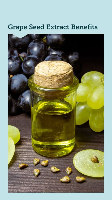 grape seed extract benefits Grape Seed Extract Benefits, Superfood Benefits, Superfoods Benefits, Grape Seeds, Grapes Benefits, Seeds Benefits, Superfood Supplements, Nutrition Science, Health Routine