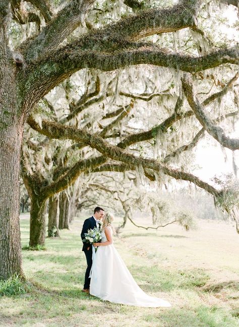 36 of Georgia’s Most Gorgeous Wedding Venues | Whether you’re looking for an urban deli with some serious design cred or an idyllic farmhouse with horses roaming nearby, we’ve got your Georgia wedding goals at the front of our thoughts. From warehouses to pecan farms, here are some of the best wedding venues in Georgia right now. | Photo: The Happy Bloom Wedding Magnolia, Winter Wedding Venues, Magnolia Gardens, Magnolia Wedding, Georgia Wedding Venues, Minimalist Wedding Decor, Smallest Wedding Venue, Garden Reception, Lowcountry Wedding