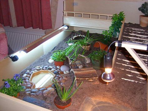 Tortoise Table Tortoise Enclosure Ideas, Hermann Tortoise, Tortoise Cage, Russian Tortoise Diet, Red Footed Tortoise, Tortoise Table, Tortoise House, Tortoise Enclosure, Enclosure Ideas