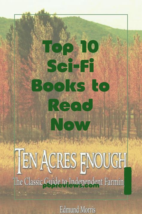 Looking for the best science fiction books of the past decade? Check out our engaging list of 10 must-read sci-fi novels that you won’t want to miss! From incredible space adventures to captivating alternate realities, these selections have something for every book lover. Whether you’re a long-time fan of the genre or just getting started, these compelling reads promise to keep you turning pages late into the night. Discover unforgettable characters and plot twists that make these stories truly stand out. Time to build your must-read list! Alternate Realities, Turning Pages, Read List, Sci Fi Novels, Science Fiction Books, Sci Fi Books, Into The Night, Wildest Dreams, Plot Twist