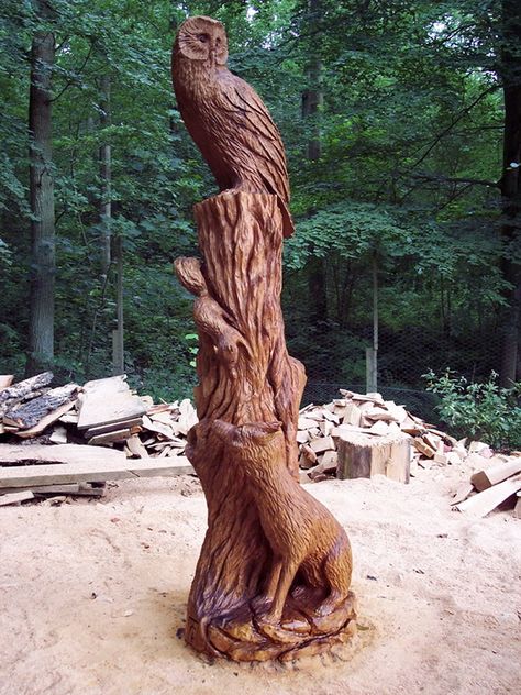 Fox and Owl | chainsaw carving, Tommy Craggs | #sculpture #art Carved Tree Stump, Chain Saw Art, Chainsaw Sculpture, Chainsaw Wood Carving, Boom Kunst, Carved Tree, Tree Stumps, Amazing Woodworking, Wood Carving Designs