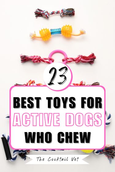 I'm so much in love with these Top best and most durable Toys you can get for your dogs that love chewing. These toys are available for all sizes of dogs and different Dog breeds, From interactive dog toys to sound squeaky-making toys and intellectual testing ability toy Best Toys For Puppies, Excited Dog, Foods Ideas, Making Toys, Toys For Dogs, Different Dog Breeds, Active Dogs, Bored Dog, Dog Toys Indestructable