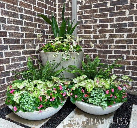 Container Garden Design, Yard Landscaping, Flower Beds, Garden Planning, Potted Plants, Container Gardening, Landscape Design, Garden Design, Yard