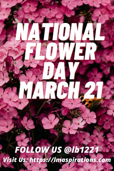 Celebrate flowers on National Flower Day, March 21st. Follow us @lb1221 Spring Things, National Flower, National Days, March 21, National Day, Happy Day, Follow Us, Celebrities, Flowers