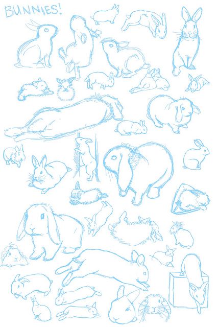 @randomlyawake's beautiful studies of bunnies  : ) Hase Tattoos, Bunny Sketches, Tier Tattoo, Petit Tattoo, Rabbit Drawing, Bunny Tattoos, Rabbit Tattoos, Bunny Drawing, Animal Study