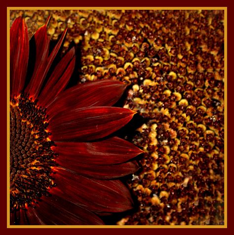 by Cathy McKie Bridal Colors, Board Presentation, Theme Board, Silver Theme, Shades Of Burgundy, Garnet And Gold, Burgundy And Gold, Blood Red, Winter Colors