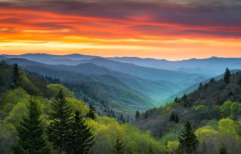 Smokey Mountain National Park, Mountains Sunrise, Mountain Landscape Photography, Smokey Mountain, Park Pictures, Great Smoky Mountains National Park, Landscape Plans, Smoky Mountain, Smoky Mountain National Park