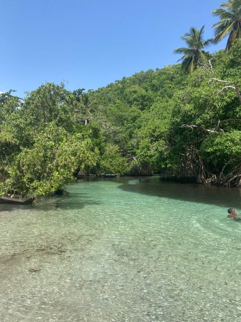 Beautiful river in the Dominican Republic Beautiful River, Green Travel, The Dominican Republic, Dominican Republic, Cyberpunk, Green, Travel, Samana