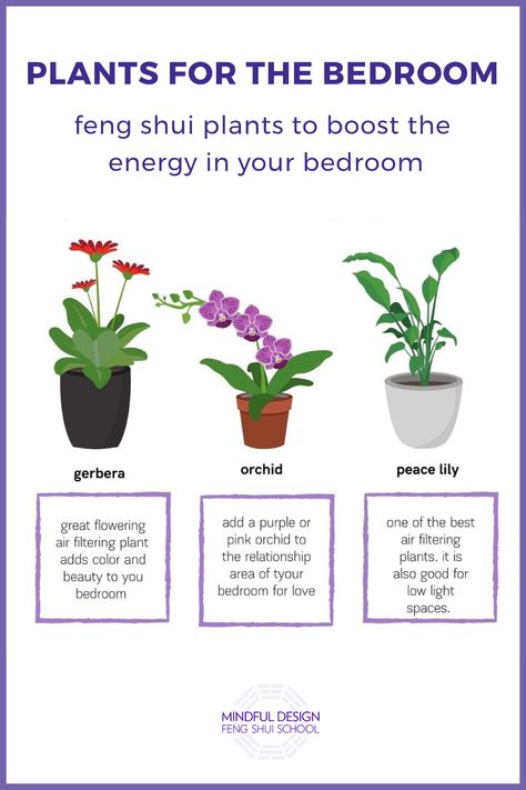 Drawings of gerbera, orchid, peace lily plants with a description of each. Room Feng Shui Bedroom, Plants At Home, Fung Shway Bedroom, Feng Shui Home, Feng Shui Bedroom Plants, Feng Shui Outdoor Space, Feng Shui Bedroom Decoration, Bedroom Feng Shui, Plants For Bedroom