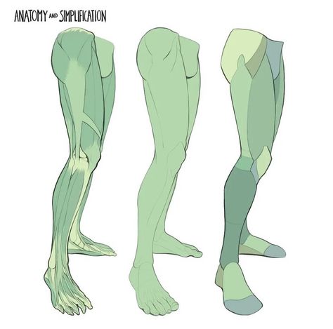 Leg Reference, 남성 근육, Leg Anatomy, Anatomy Tutorial, Human Anatomy Drawing, Muscle Anatomy, Human Anatomy Art, Anatomy Sketches, Anatomy Poses