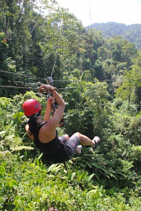 Come FLY the Pura Vida - Guide to Zip-lining in Costa Rica Life In Costa Rica, Summer Costa Rica, Ziplining Costa Rica, Ziplining Outfit, Zip Lining In Puerto Rico, Costa Rica Zipline, Costa Rica Activities, Rainforest Ecosystem, Horseback Riding Costa Rica