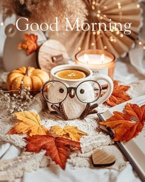 Fall Season Pictures, Good Morning Greeting Cards, Cute Fall Wallpaper, Iphone Pictures, Autumn Morning, Autumn Scenes, Cute Good Morning, Fabulous Fall, Good Morning Coffee