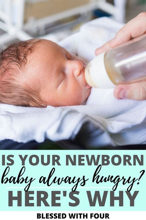 This answers all my questions about why my newborn baby is alway hungry. So good!!! #newbornalwayshungry How Much Newborns Eat, Newborn Eating Amount, Newborn Routine, Newborn Essentials List, Infant Toddler Classroom, Constantly Hungry, Newborn Baby Needs, Breastfeeding Benefits, Newborn Bath