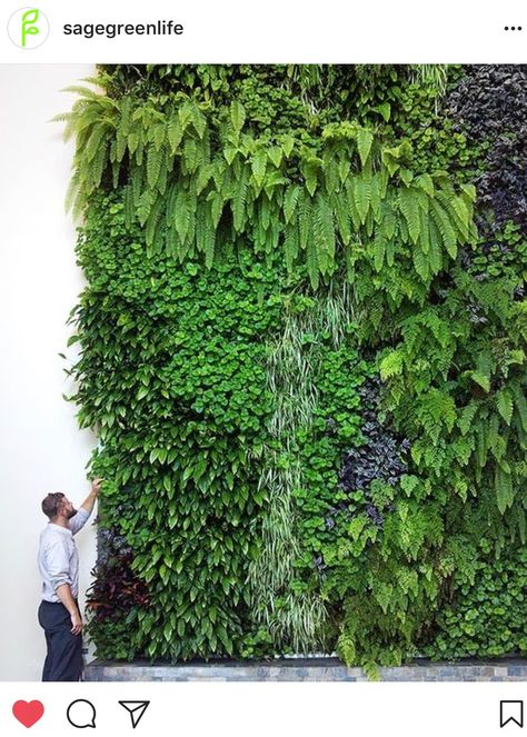 Living Green Walls, Vertikal Garden, Vertical Garden Design, Border Ideas, Garden Border, Vertical Garden Wall, Vertical Farming, Living Walls, Landscape Edging