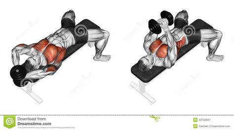 Exercising. Link Dumbbells From Behind The Head - Download From Over 45 Million High Quality Stock Photos, Images, Vectors. Sign up for FREE today. Image: 43722841 Gym Chest Workout, Push Day Workout, Push Workout, Best Chest Workout, Dumbell Workout, Fitness Routines, Exercise Routines, Popular Workouts, Chest Workouts