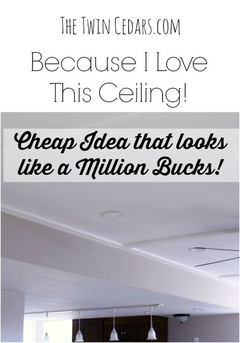 So when we starting thinking about the basement and particularly what we were going to do with the ceiling, B made it clear that we would have to do a drop Diy Basement Ceiling, Drop Ceiling Alternatives, Drop Ceiling Makeover, Basement Ceiling Insulation, Basement Ceiling Ideas Cheap, Ceiling Alternatives, Ceiling Tiles Basement, Basement Ceiling Options, Basement Bathroom Design