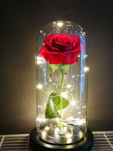 Le véritable amour dure une éternité tels cette rose éternelle Rose Beauty And The Beast, Beauty And Beast Rose, Leaf Bouquet, Makeup Room Ideas, Rose Dome, Rose In A Glass, Rose Romantic, Real Rose Petals, Deco Rose