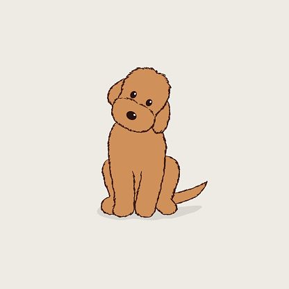 Cartoon Dog Painting, Labradoodle Drawing Simple, Cartoon Goldendoodle, Labradoodle Illustration, Labradoodle Painting, Labradoodle Drawing, Brown Labradoodle, Goldendoodle Art, Cartoon Dog Drawing