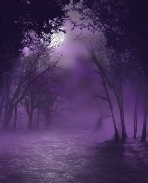 Purple Fog Realm Aesthetic, Dreams Aesthetic, Purple Board, Purple Wallpapers, Purple Vibe, Lavender Aesthetic, New Retro Wave, Dark Purple Aesthetic, Purple Sunset