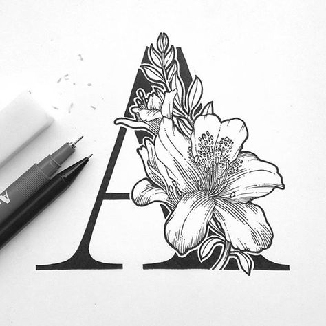 Aaron Lam - freelance Graphic Designer.. | Lettering / Сalligraphy / Typography Inspiration | VK Zentangle Letters, Svg Shapes, Beautiful Letters, Bag Painting, Art Lettering, The Letter A, Lettering Art, Mandala Design Art, Floral Letters