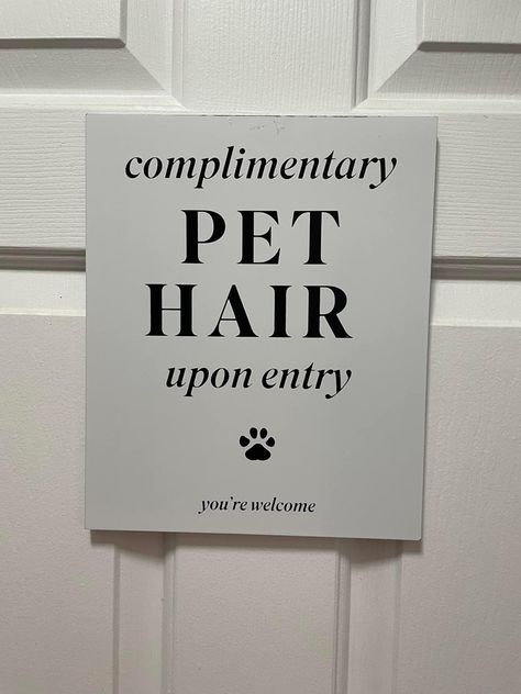 Small Dog Grooming Salon Ideas Decor, Dog Grooming Salon Paint Colors, Dog Grooming Salon Ideas Pet Boutique, Home Dog Boarding Ideas, Dog Grooming Signs, Dog Salon Decor, Dog Grooming Shop Ideas, Dog Salon Ideas Interior Design Pet Grooming, Grooming Salon Layout