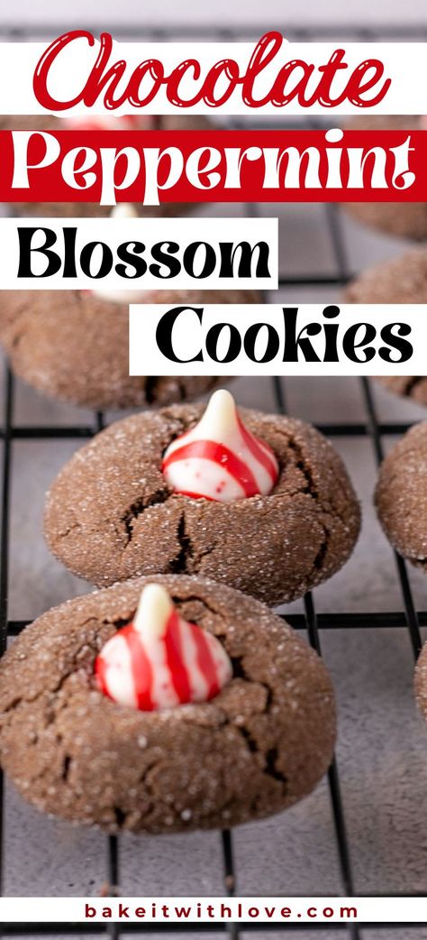 Tasty, soft, and chewy chocolate peppermint blossom cookies on wire cooling rack after baking to perfection and topped with a peppermint Hershey's Kisses candy. Blossom Cookies Christmas, Peppermint Blossoms, Holiday Dessert Drinks, Peppermint Christmas Cookies, Peppermint Chocolate Chip Cookies, Cookie Decorating Icing, Christmas Cookie Recipes Holiday, Favorite Christmas Recipes, Peanut Butter Blossom Cookies