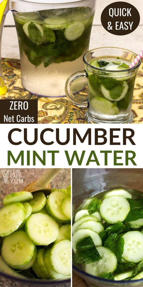 Cucumber Mint Water, Cucumber Water Recipe, Mint Infused Water, Cucumber Infused Water, Mint Drink, Fruit Infused Water Recipes, Flavored Water Recipes, Infused Waters, Mint Water