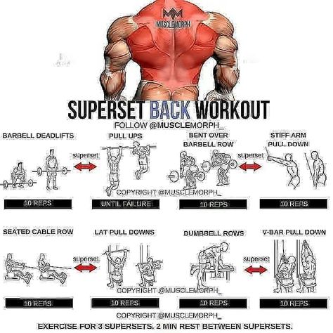 🔥Killer Back workout🔥@musclemorph_ Follow👉 @Workout_ability 💪 -- #fitnessmotivation #bodybulding #fitnessaddict #fitlife #fitnation… Killer Back Workout, Exercise Aesthetics, Barbell Row, Cable Row, Super Sets, Workout Chart, Health Life, Workout Plan Gym, Back And Biceps