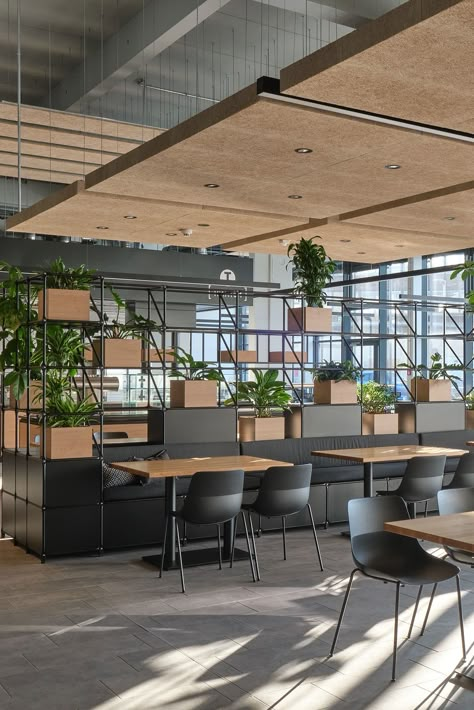 Stadler Deutschland's new modern canteen has light-flooded interior, different seating ranges, large windows, and a lounge area. Square and oblong Troldtekt floating acoustic clouds in natural wood have been installed, adding to an inviting and uplifting atmosphere. Click to see more pictures. #goodacoustics #holzwolleplatten #träullsplattor #troldtekt Architects: Code of Practice Architects GmbH Acoustic Clouds, Canteen Design, Wall Elements, Lobby Designs, Cafeteria Design, Corporate Interior Design, Bakery Design Interior, Corporate Office Design, Corporate Interiors